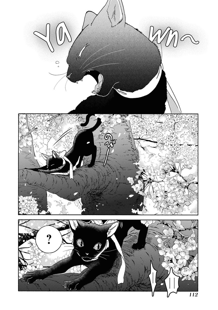 Shiraishi-Kun's Classmates - Page 2