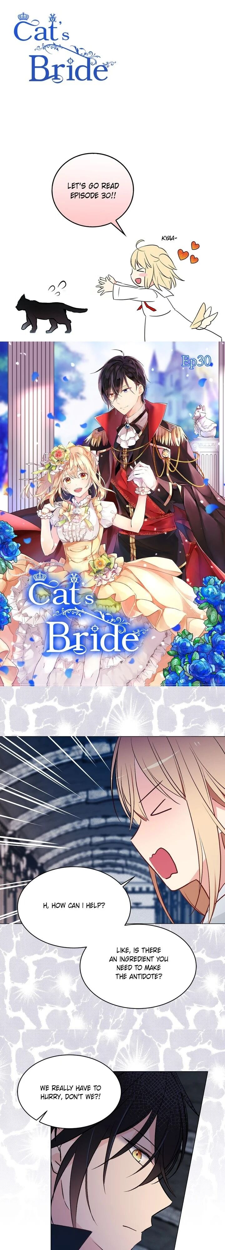 Cat's Bride Chapter 30 - Picture 1