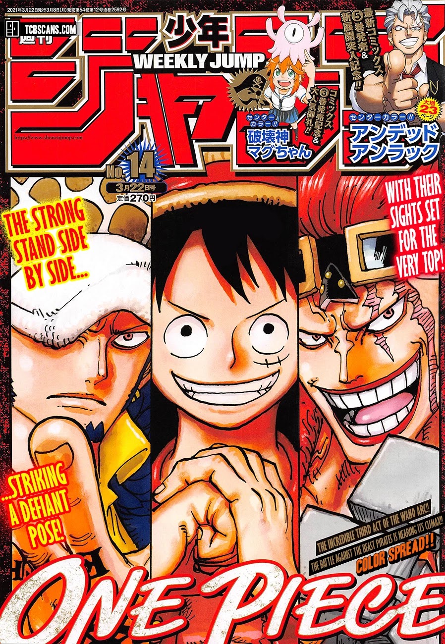 One Piece Chapter 1006 - Picture 1