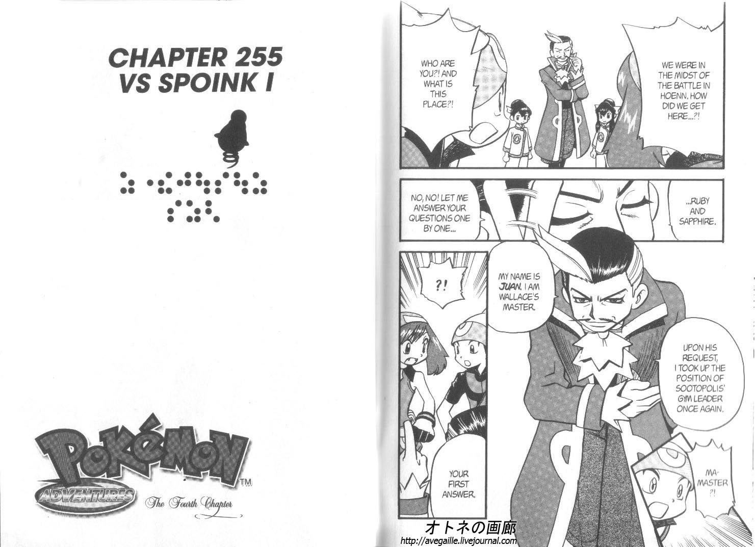 Pocket Monster Special Chapter 255 - Picture 1