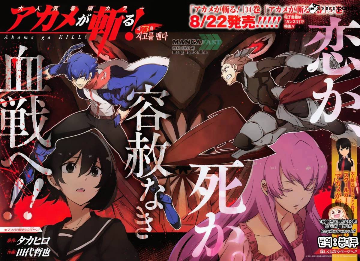 Akame Ga Kill! Chapter 73 - Picture 3