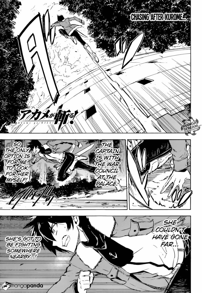 Akame Ga Kill! Chapter 65 : Kill Your Little Sister - Picture 1