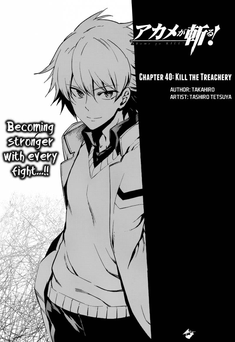 Akame Ga Kill! Chapter 40 : Kill The Treachery - Picture 3