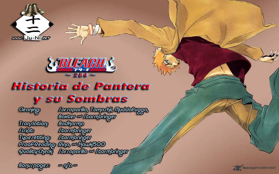 Bleach Chapter 284 : Historia De Pantera Y Su Sombras - Picture 1