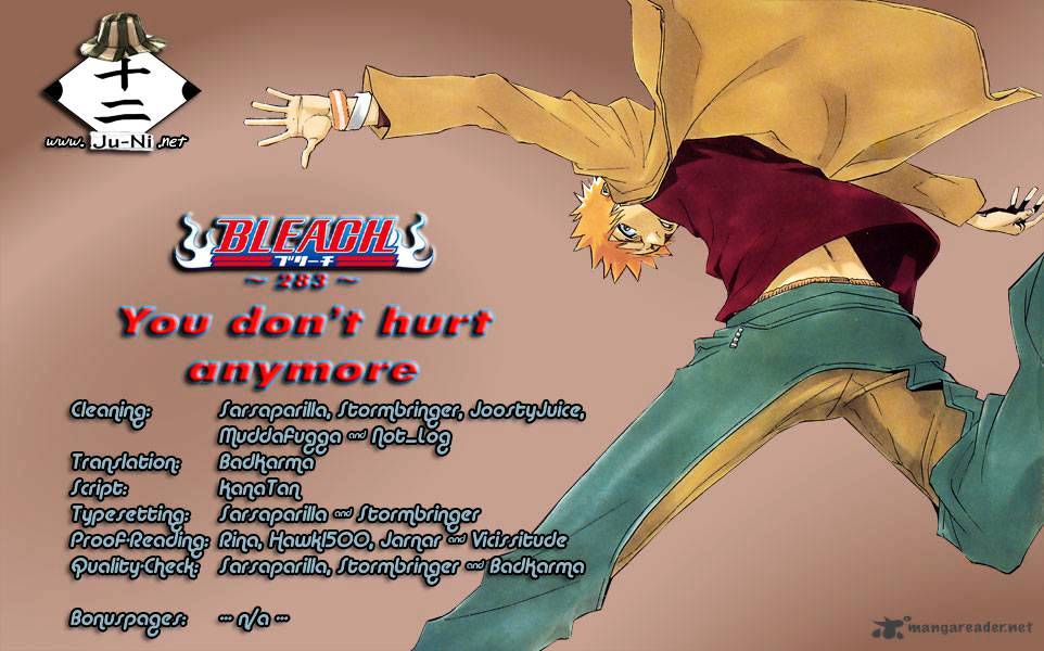 Bleach Chapter 283 : You Don't Hurt Anymore - Picture 1