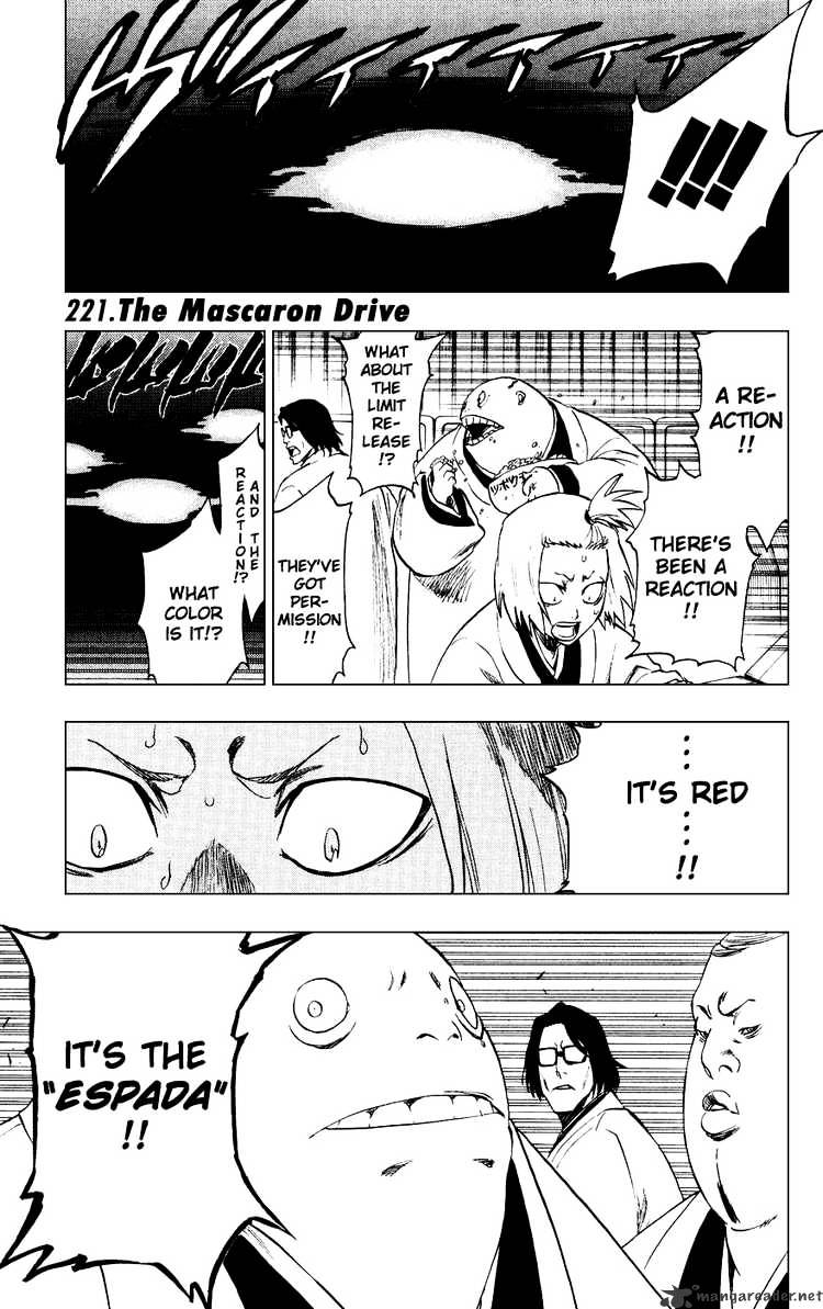 Bleach Chapter 231 : The Mascaron Drive - Picture 1