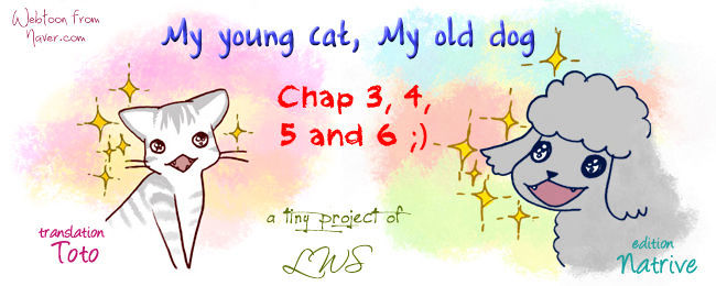 My Young Cat And My Old Dog - Page 1