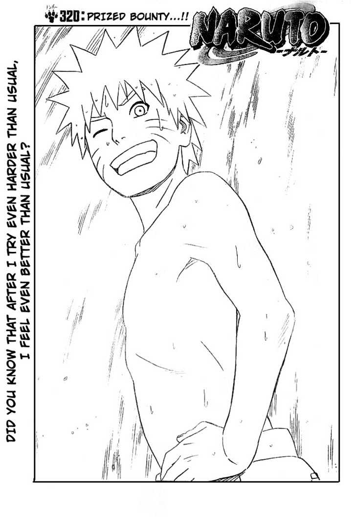 Naruto Vol.36 Chapter 320 : Prized Bounty - Picture 1