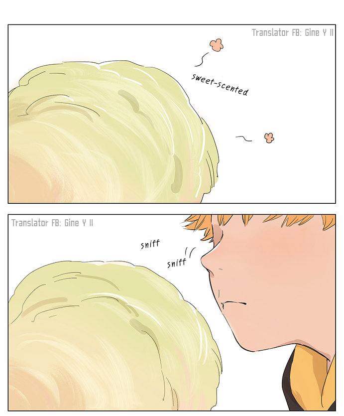 The Wolf That Picked Something Up Chapter 40: Cotton Candy - Picture 1