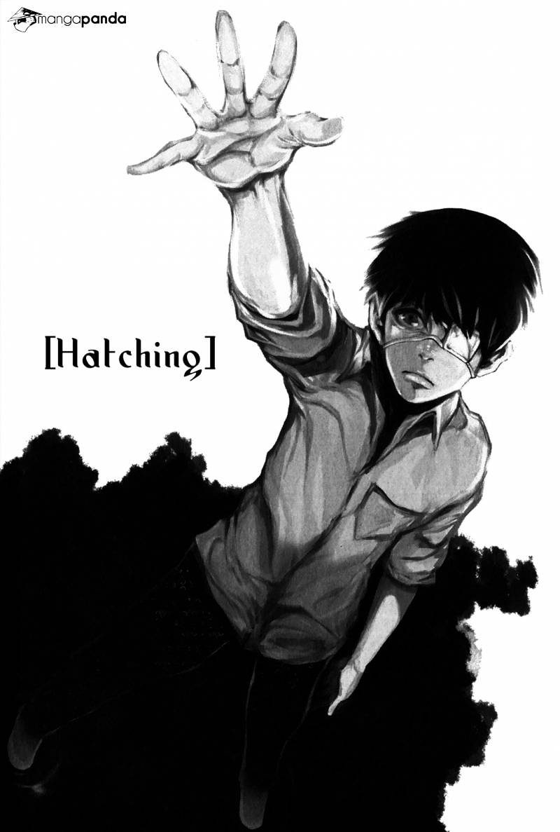 Tokyo Ghoul Vol. 1 Chapter 9: Hatching - Picture 2
