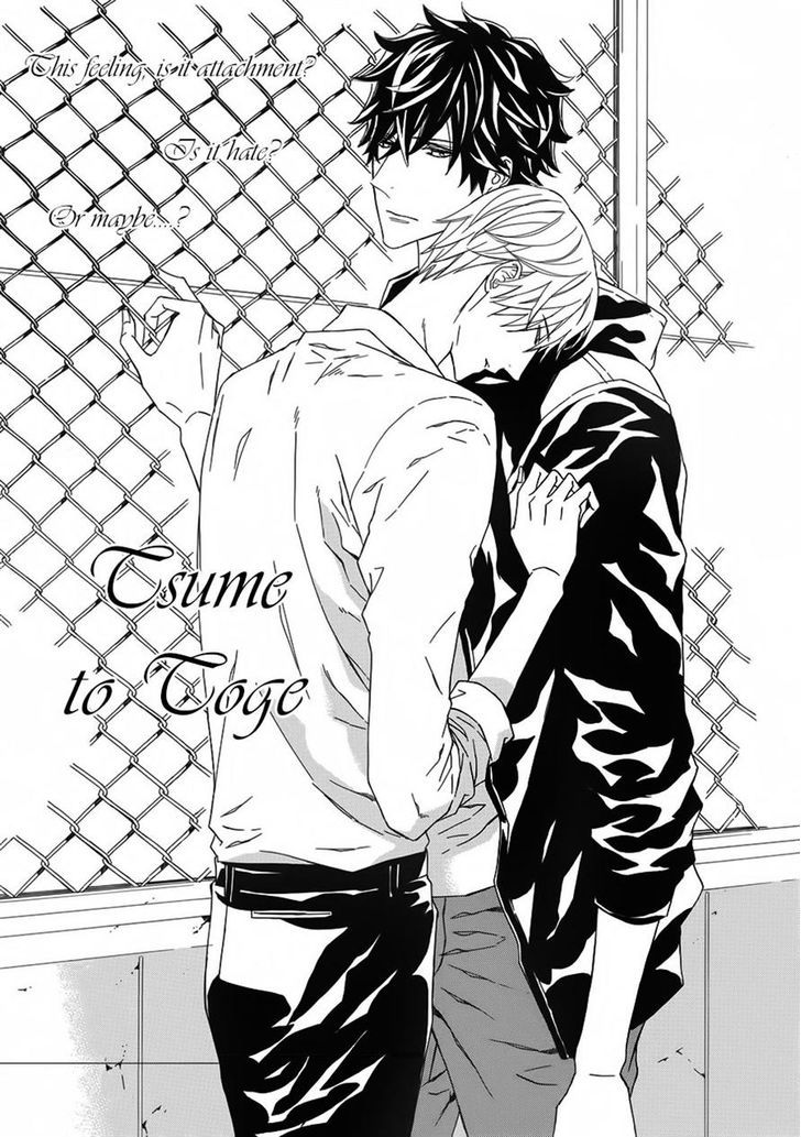 Tsume To Toge Vol.1 Chapter 5 - Picture 1