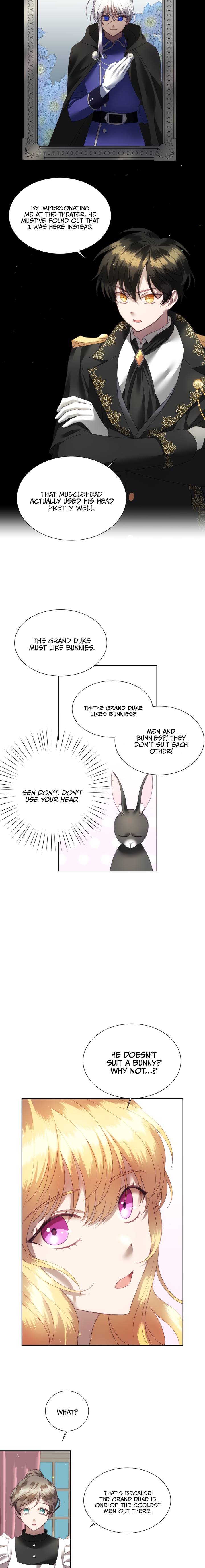 The Fake Princess’ Op Bunny - Page 3